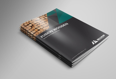 深圳企業畫冊設計的成功之道 時間與形象策劃并重